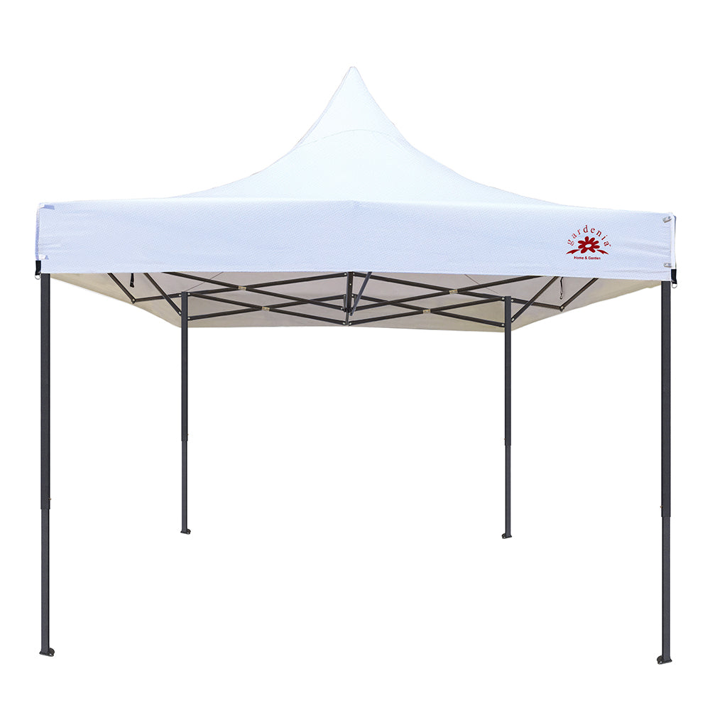 Gazebo tent 10x10 hotsell